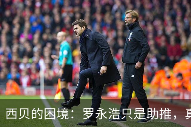 西贝的困境：罗永浩只是助推，真正的问题在于贾国龙